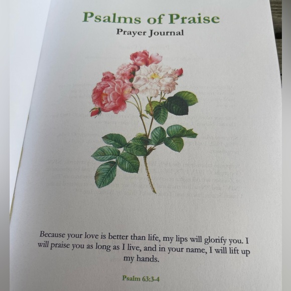 Psalms of Praise Prayer Journal Daily Writing Notebook - Picture 2 of 12